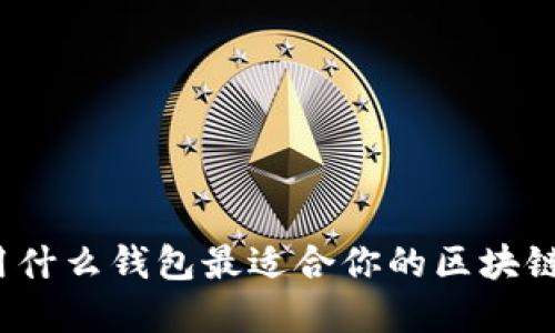 现在用什么钱包最适合你的区块链投资？