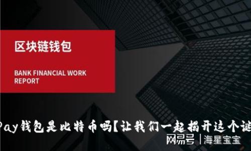 CGPay钱包是比特币吗？让我们一起揭开这个谜团！