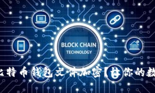 如何轻松实现比特币钱包文件加密？让你的数字资产更安全！