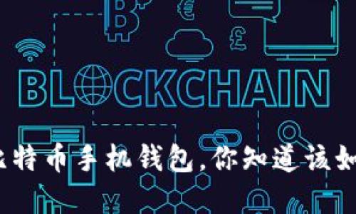 最安全的比特币手机钱包，你知道该如何选择吗？