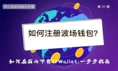 如何在国内下载TPWallet：一步步指南