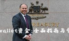 如何查询tpwallet资金：全面指南与常见问题解答