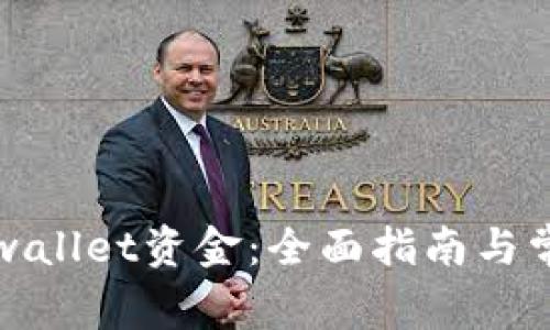 如何查询tpwallet资金：全面指南与常见问题解答