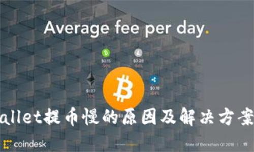 TPWallet提币慢的原因及解决方案详解