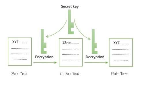 兔子钱包比特币的真伪解析：如何识别假冒与安全风险