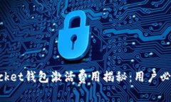 TokenPocket钱包激活费用揭秘：用户必知的真相