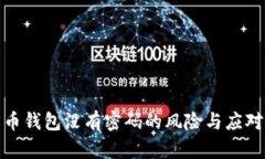 比特币钱包没有密码的风险与应对措施