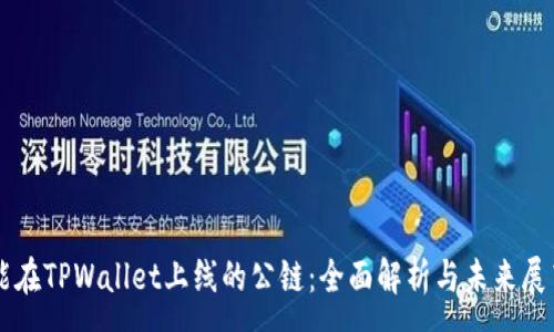 :
能在TPWallet上线的公链：全面解析与未来展望