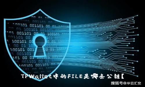 TPWallet中的FILE是哪条公链？