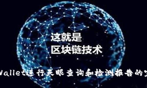 使用TPWallet进行天眼查询和检测报告的完整指南