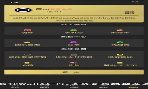 如何找到TPWallet Pig币的合约地址及其重要性