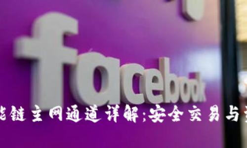 TPWallet币安智能链主网通道详解：安全交易与资产管理的新时代